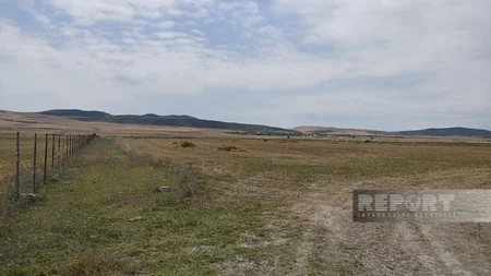 Oğuzun Padar kəndinin örüş torpaqları zəbt olunub
