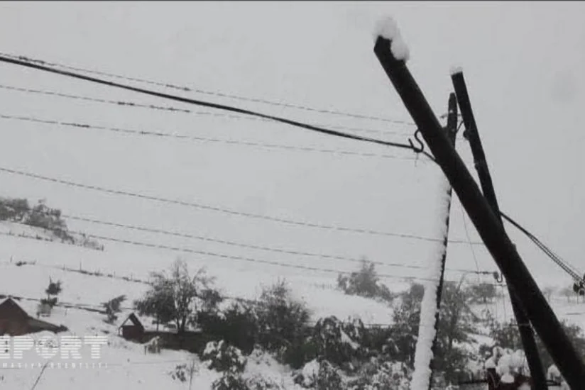 Cəlilabadda güclü qar fərdi təsərrüfatlara, elektrik və rabitə dirəklərinə ziyan vurub - FOTO