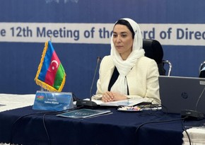 Səbinə Əliyeva İƏT Ombudsmanlar Assosiasiyasının iclasında iştirak edib