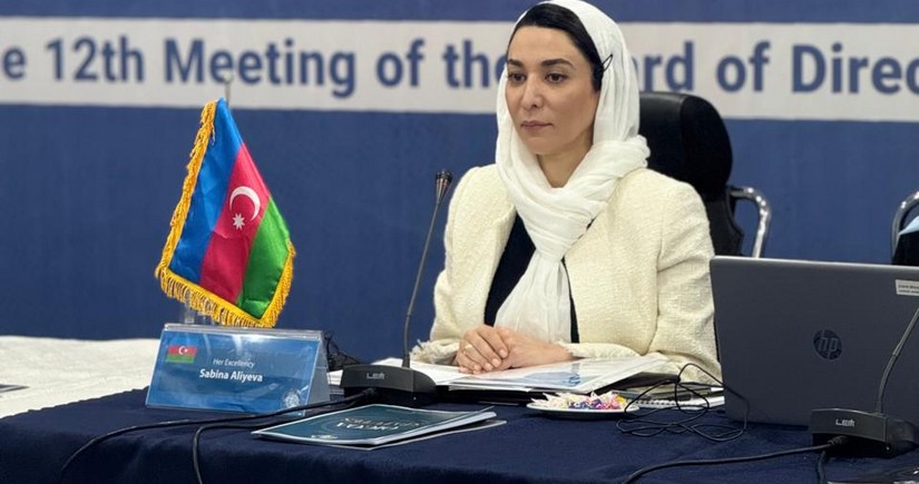 Səbinə Əliyeva İƏT Ombudsmanlar Assosiasiyasının iclasında iştirak edib