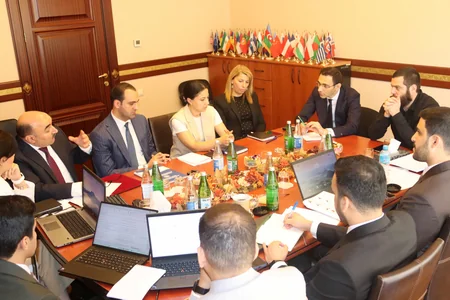 Hesablama Palatasının fəaliyyətinin həmkar qiymətləndirilməsi aparılır