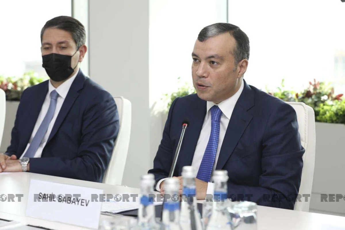 В Азербайджане работает свыше 4 тыс. граждан Турции