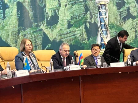 Ambassador: Azerbaijan actively pursues green development strategy