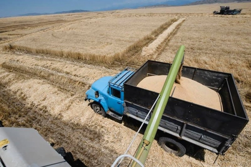Azərbaycan ötən il Ulyanovskdan ən çox taxıl idxal edən ölkələr sırasına daxil olub