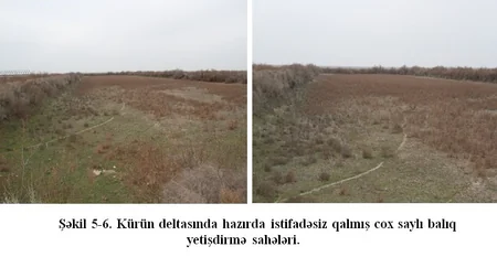 Alimlərdən Kürdə suyun azalması ilə bağlı həyəcan təbili: Vəziyyət yaxın illərdə düzəlməyəcək