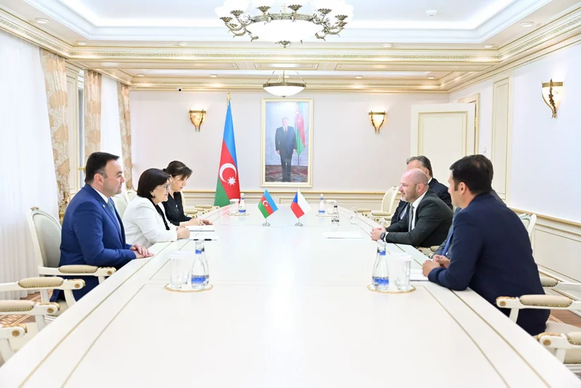 Sahibə Qafarova Çexiya-Azərbaycan parlamentlərarası əlaqələr üzrə işçi qrupun üzvləri ilə görüşüb