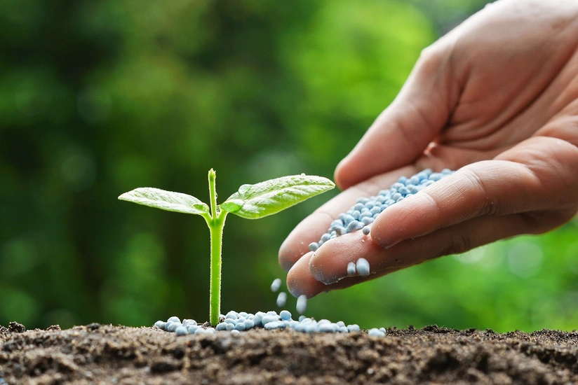 Азербайджан экспортировал карбамид на 7 млн долларов