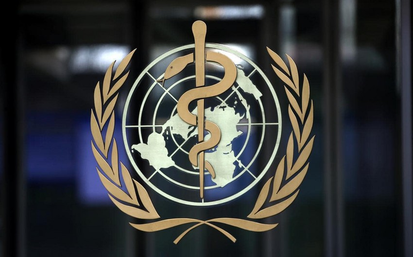 ВОЗ: Новым названием оспы обезьян станет mpox