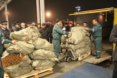 Çindən Azərbaycana 1 mln. ədəd tut tingi gətirilib