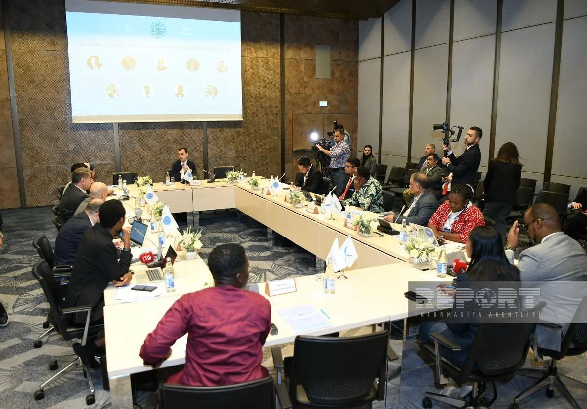 ‘D-8 Cooperation for a Prosperous Future’ discussed within Global South NGO Platform