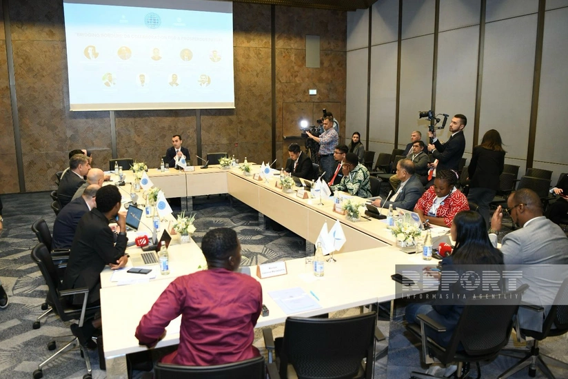 ‘D-8 Cooperation for a Prosperous Future’ discussed within Global South NGO Platform