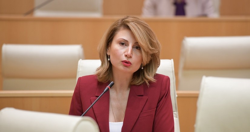 Georgia appoints new ambassador to United States