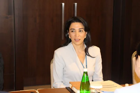 Azərbaycan və Özbəkistan ombudsmanları arasında görüş keçirilib