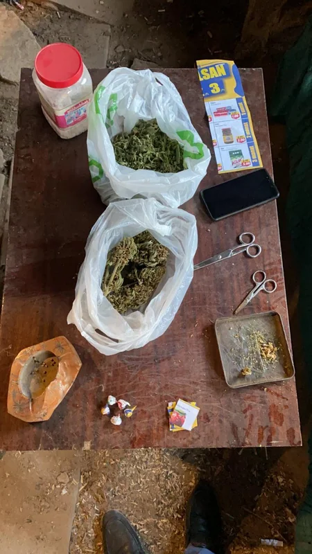 Bakıda narkotik bitkilər əkib-becərən şəxs saxlanıldı - VİDEO