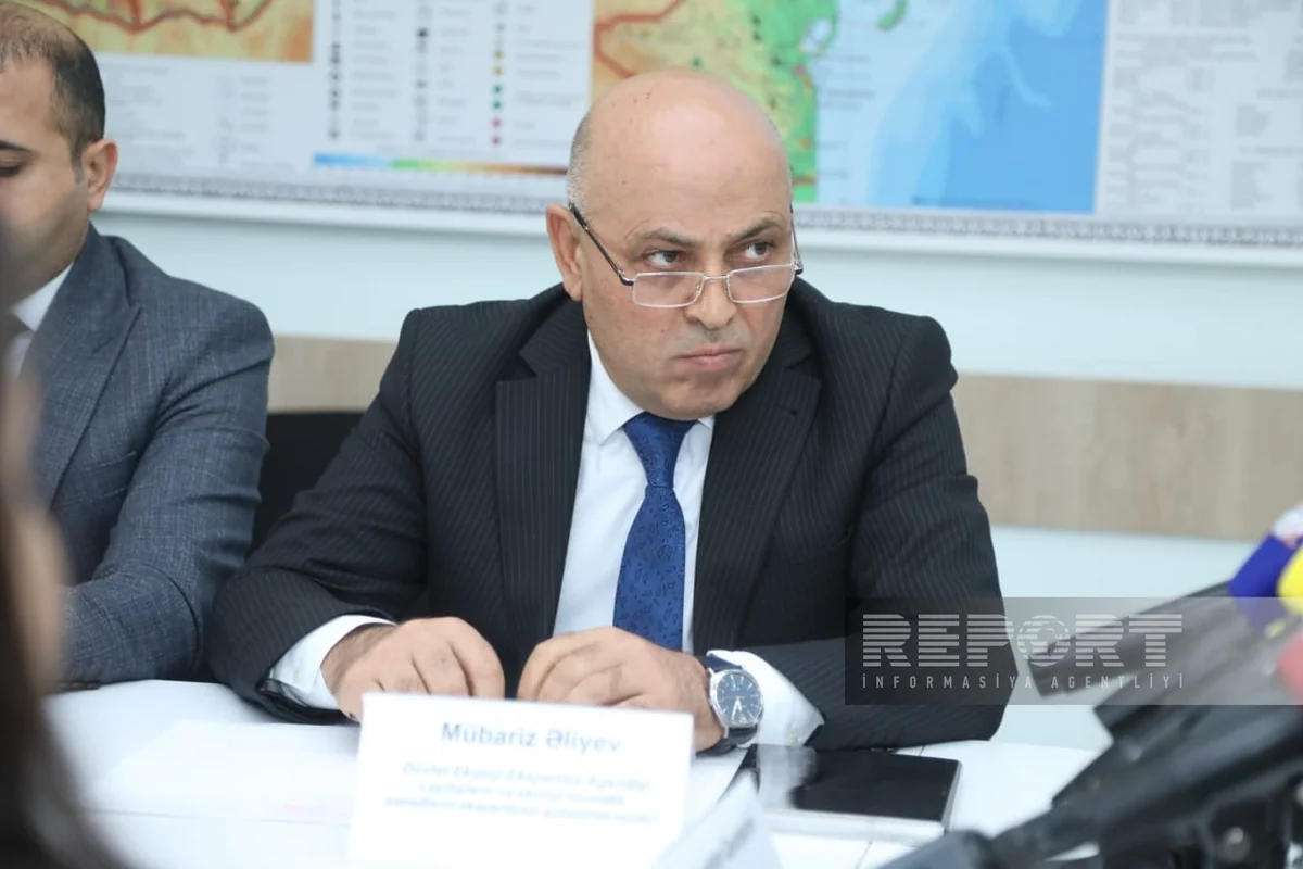 За год в Госагентство экологической экспертизы поступил 491 запрос по строительным проектам