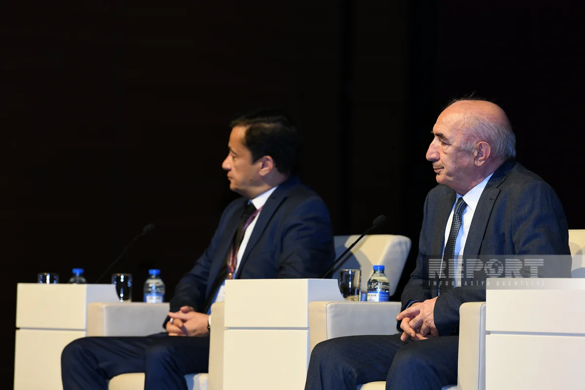 ATAA: Turizm şirkətlərinin 96 %-i Bakıda yerləşir