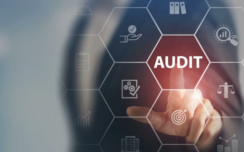 Dövlət Ehtiyatları Agentliyi auditor seçir
