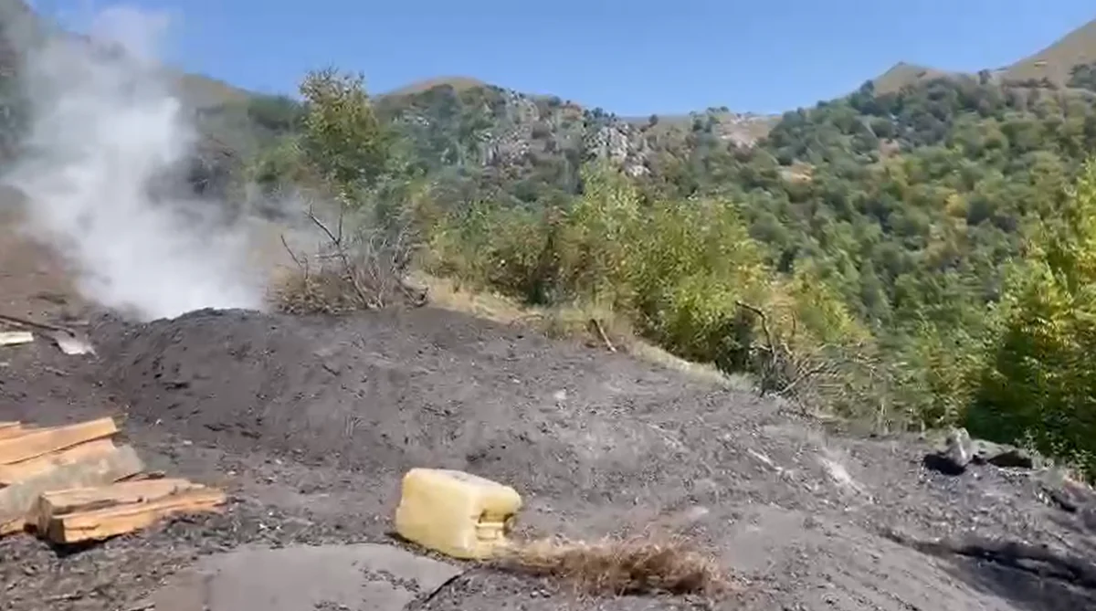Göygöldə qanunsuz ocaqxanaların fəaliyyəti dayandırılıb