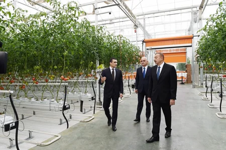 Prezident İlham Əliyev Zirə qəsəbəsində “BAKU AGROPARK”da görülən işlərlə tanış olub