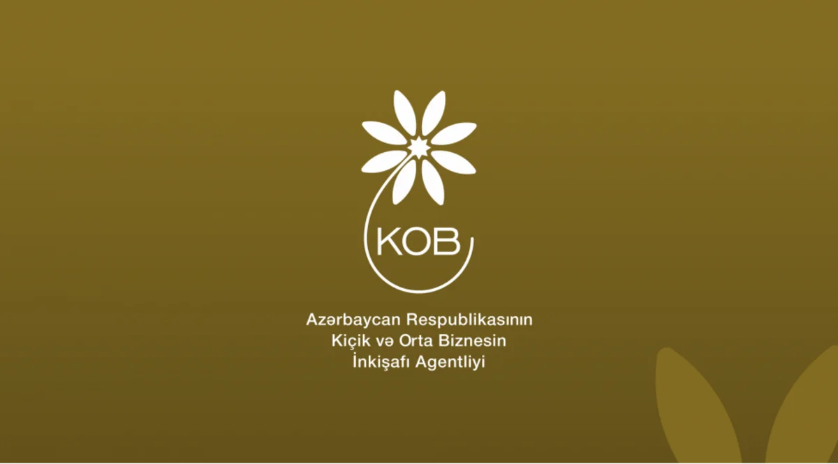 Orkhan Mammadov: Problems of SMEs in green transformation are universal