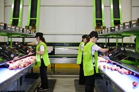 President Ilham Aliyev inspects operations of horticulture and cold storage complex in Gusar District