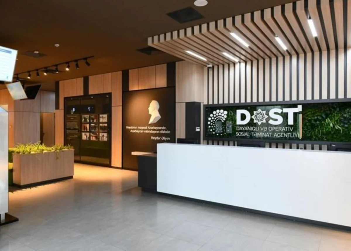 DOST agentliyi auditor seçir