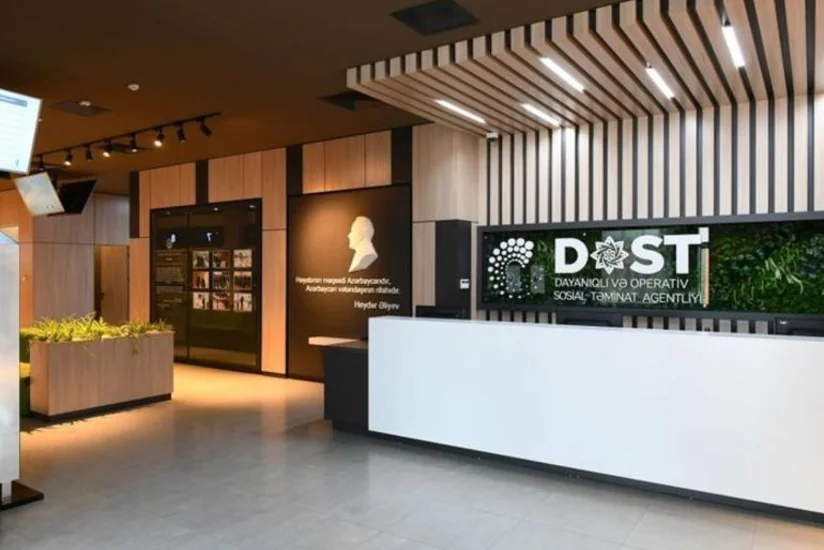 DOST agentliyi auditor seçir