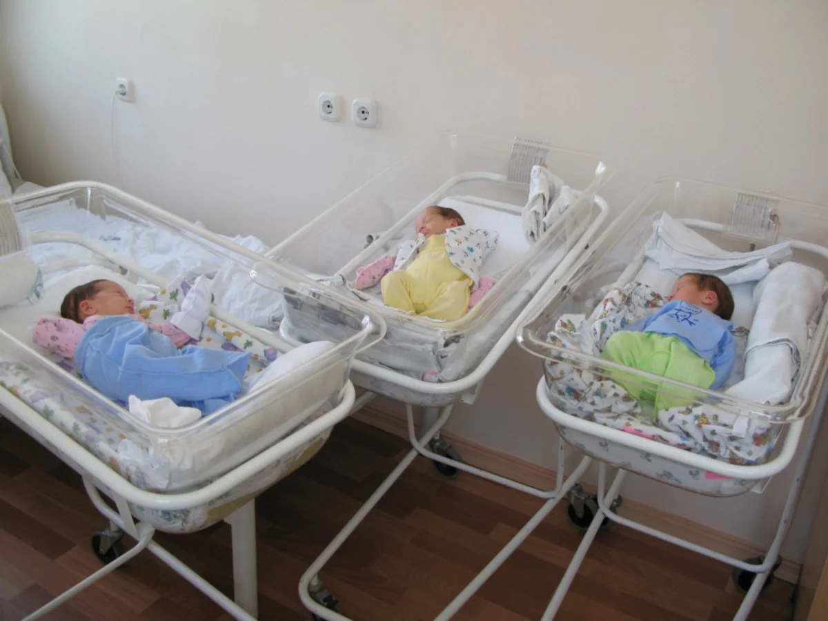 Bu ilin birinci yarısında Azərbaycanda 36 üçəm doğulub