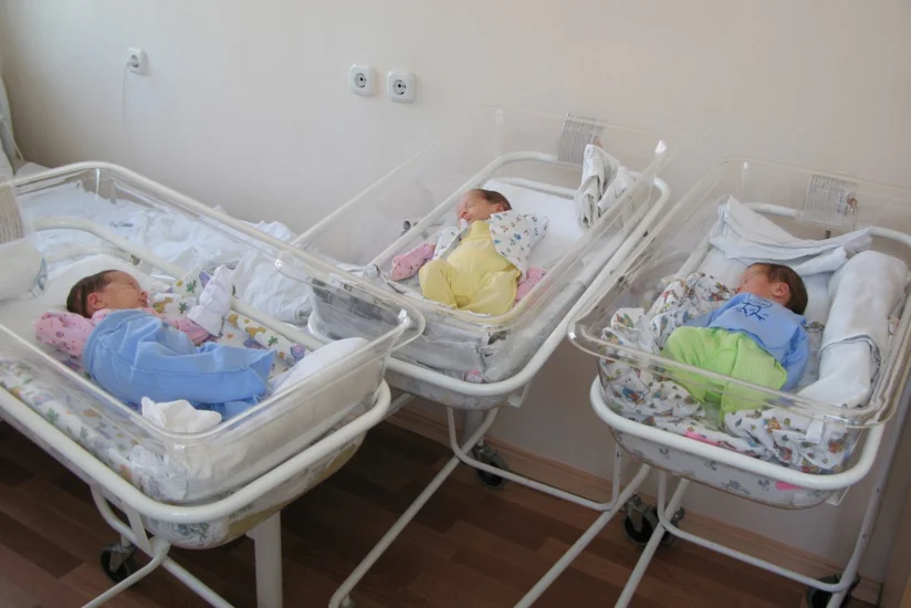 Bu ilin birinci yarısında Azərbaycanda 36 üçəm doğulub