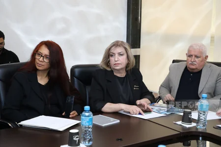 Bakıda Makronizmdən əziyyət çəkən kiçik ada ölkələri ilə Azərbaycan QHT-lərinin dialoqu keçirilib