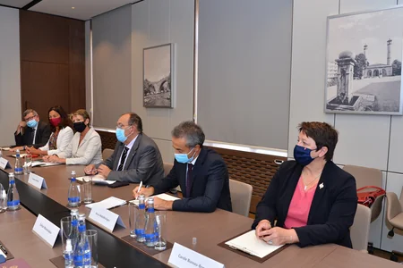 Foreign Minister meets with members of French National Assembly