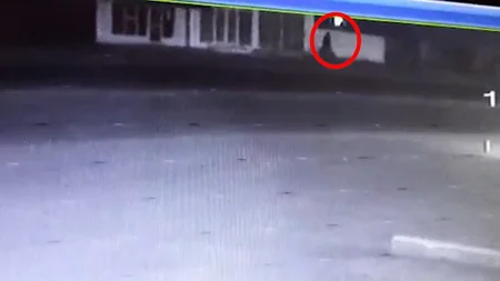 Göygöldə mağazadan oğurluq edən şəxslər saxlanılıb 