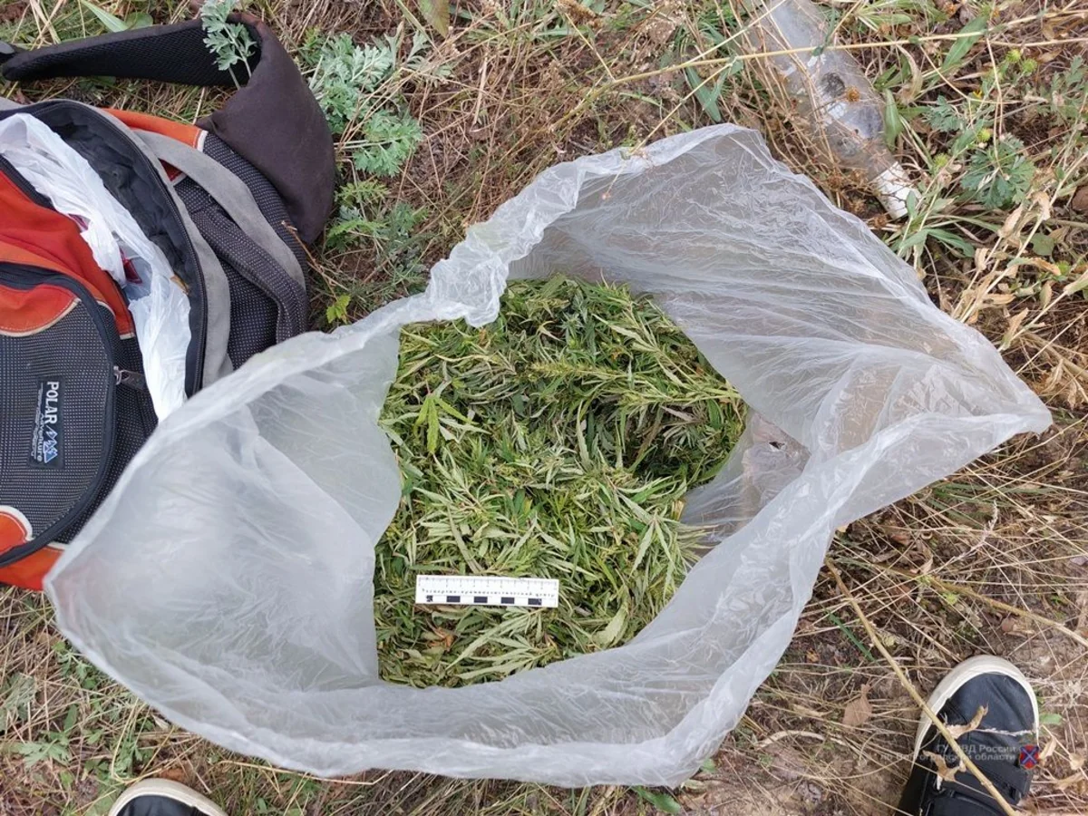 У 26-летнего ереванца нашли более 80 пакетиков с марихуаной и метамфетамином