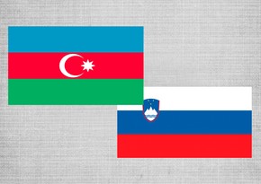 Словения раскрыла ключевые направления энергетического сотрудничества с Азербайджаном