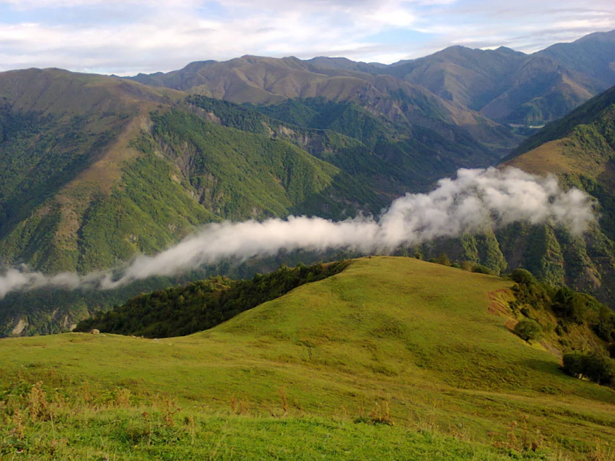 Restoration of Basitchay reserve launched in Azerbaijan's liberated territories