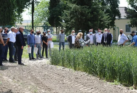 Dövlət Toxum Fondu təlim təşkil edib