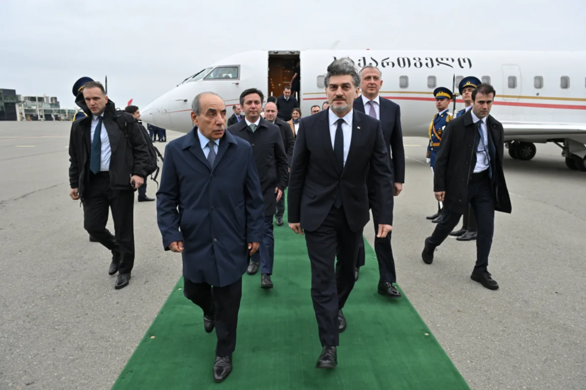 Gürcüstan Prezidenti Azərbaycana rəsmi səfərə gəlib