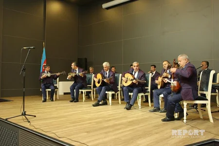 Dövlət Bayrağı günü münasibətilə Gəncədə ağacəkmə aksiyası keçirilib - FOTO