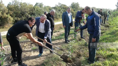 Sabirabadda Zəfər Günü münasibətilə 10 min ədəd ağac əkilib