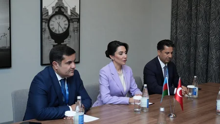 Azərbaycan və Türkiyə ombudsmanları birgə əməkdaşlığı müzakirə edib