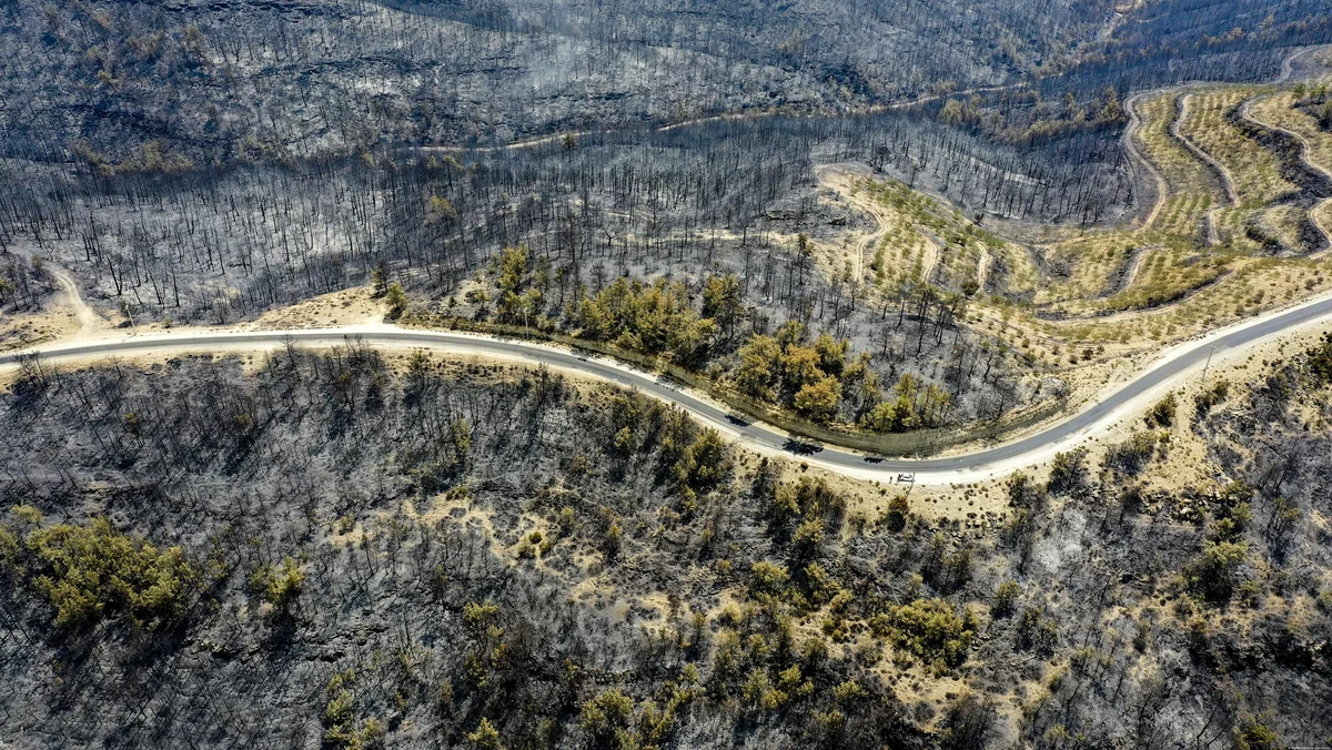 Wildfire in Turkey's Bodrum now under control