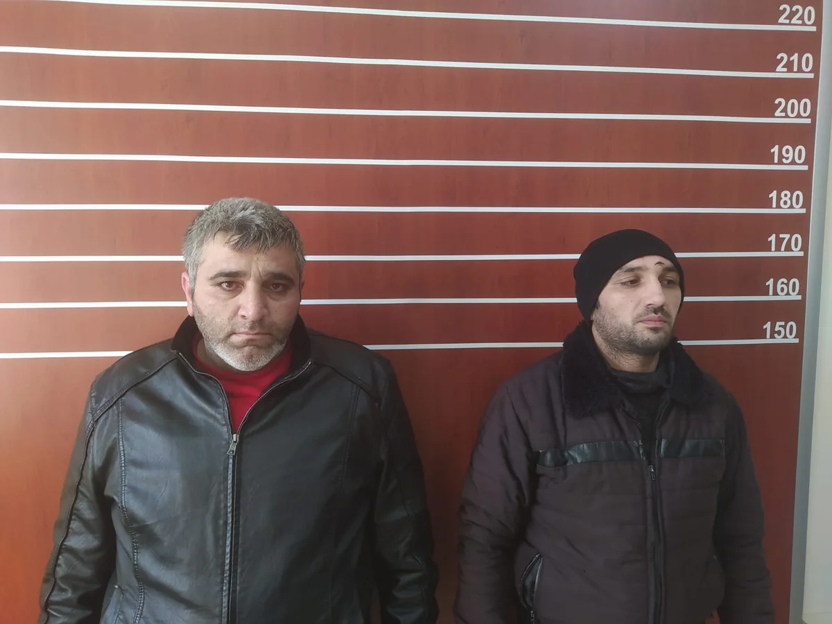 Hacıqabulda qoyun oğruları saxlanılıb