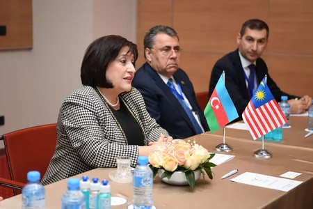 Speaker of Parliament demands unbiased investigation into attack on Azerbaijani Embassy in Iran