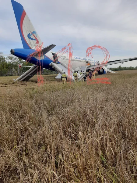 При аварийной посадке Airbus в Новосибирской области пострадали пять человек