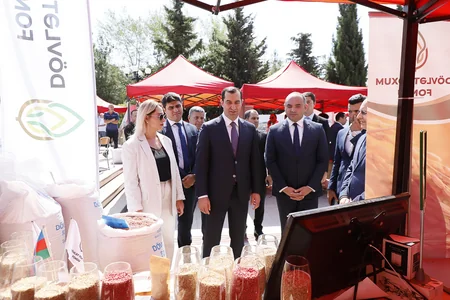 Şamaxıda növbəti toxum sərgi-satış yarmarkası keçirilib