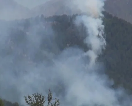 Oğuz rayonu ərazisindəki meşələrdə yanğın baş verib