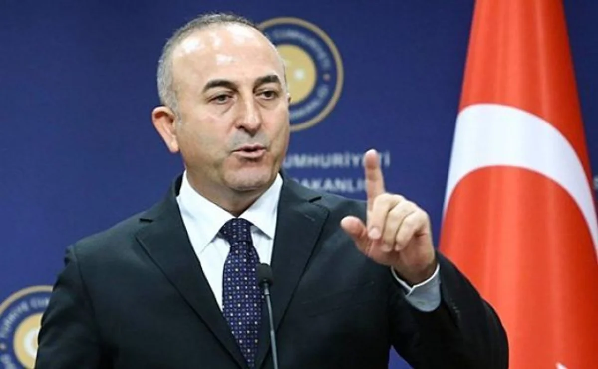 Çavuşoğlu: BMT Camal Qaşıqçının qətlə yetirilməsi ilə bağlı istintaqa başlamalıdır