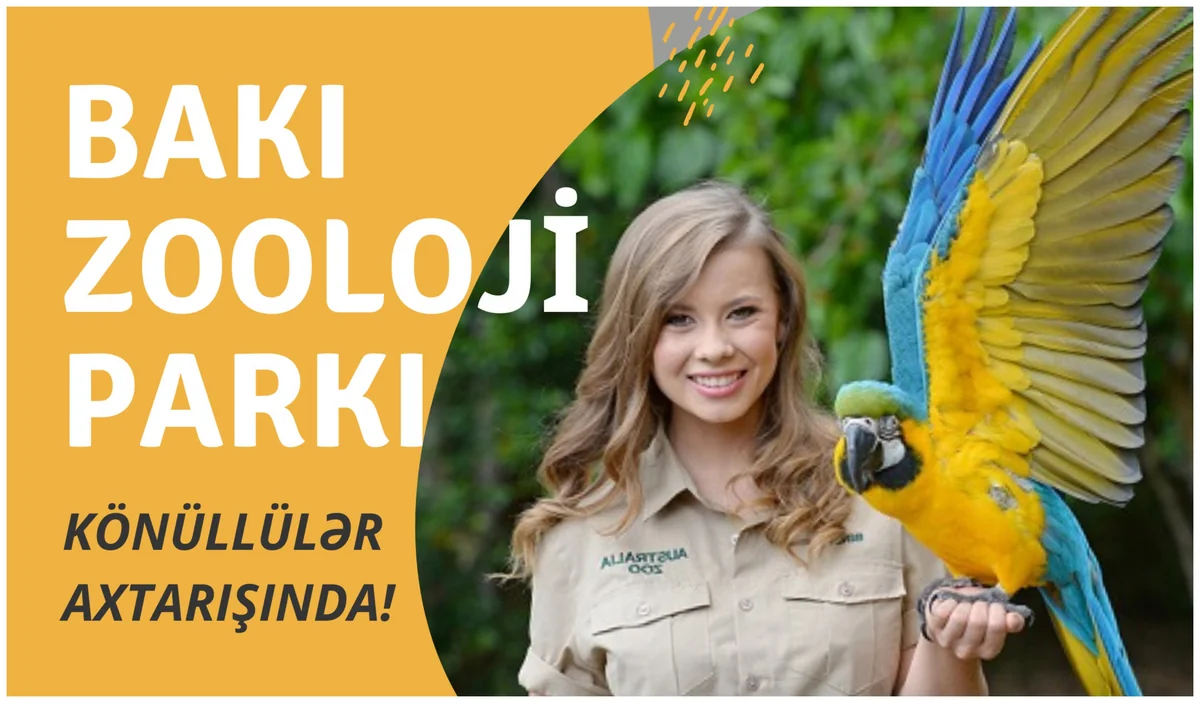 Bakı Zooloji Parkı heyvanları sevən könüllü gənclər axtarır