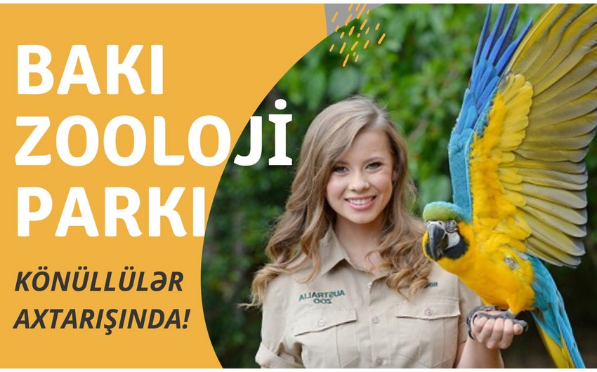 Bakı Zooloji Parkı heyvanları sevən könüllü gənclər axtarır