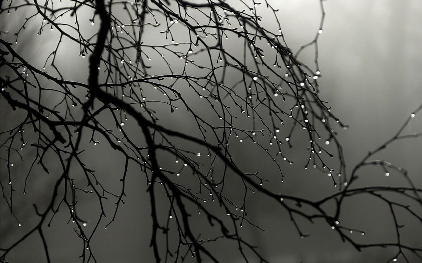 Weather forecast for tomorrow in Azerbaijan announced